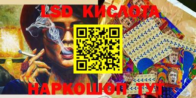 прущие крисы Будённовск