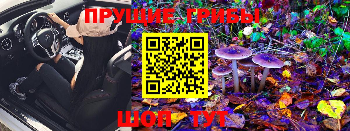 Псилоцибиновые грибы GOLDEN TEACHER  Вход с VPN  Алапаевск  Галлюциногенные грибы MAGIC MUSHROOMS 