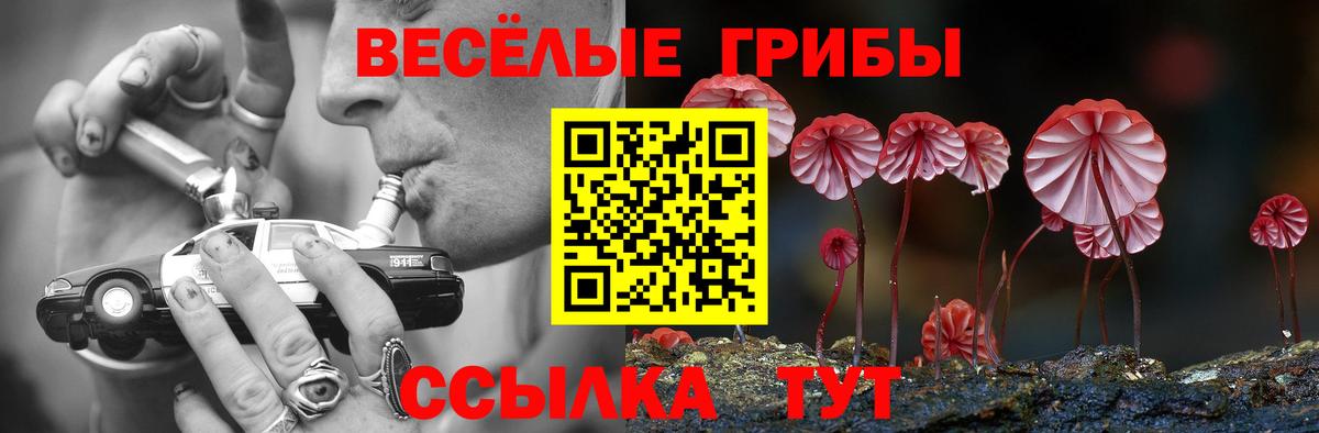 Галлюциногенные грибы ЛСД Алапаевск